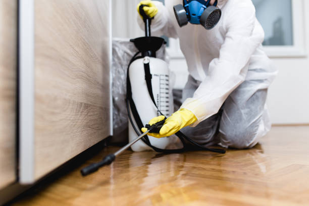 Best Pest Prevention Services  in Berly, MO
