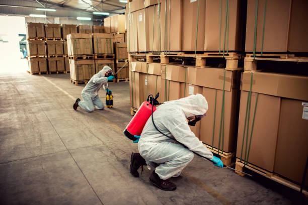 Best Exterminator Services  in Berly, MO