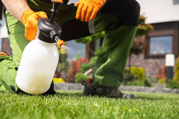 Best Pest Prevention Services  in Berly, MO