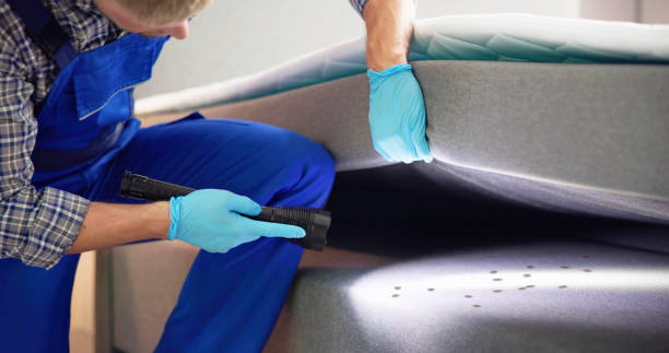 Best Pest Inspection Near Me  in Berly, MO