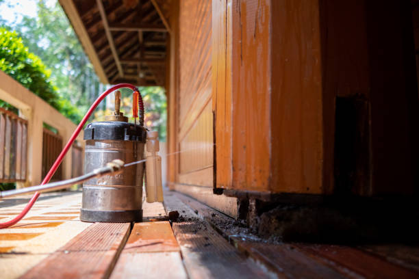 Best Best Pest Control Companies  in Berly, MO