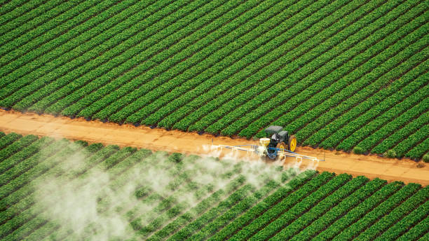 Best Commercial Pest Control Services  in Berly, MO