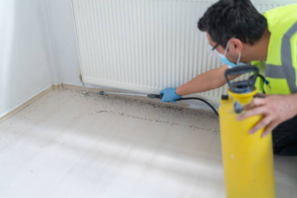 Best Best Pest Control Companies  in Berly, MO